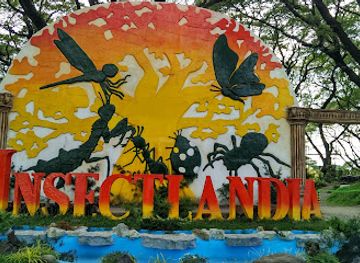philippines/angeles-city/attraction/insectlandia