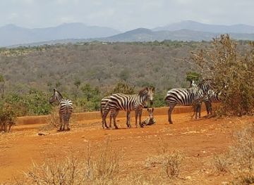 kenya/elgeyo-escarpment/attraction/mwea-national-reserve