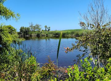 virginia/great-dismal-swamp-national-wildlife-refuge/attraction/back-bay-national-wildlife-refuge