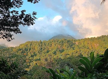 dominica/middleham-falls/attraction/waitikubuli-trail-segment-n
