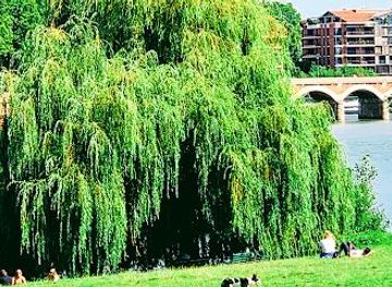 france/toulouse/attraction/prairie-des-filtres