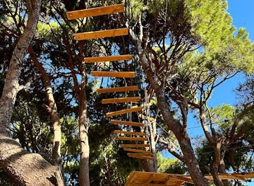 lebanon/batroun/attraction/pine-roots