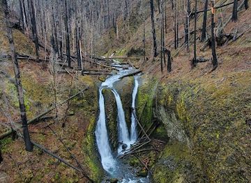 oregon/columbia-river-gorge/attraction/oneonta-trailhead
