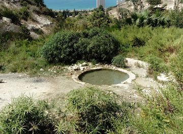 israel/haifa-beaches/attraction/bustan-khayat