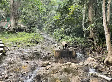 Ikogosi Warm Spring