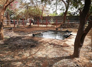 burkina-faso/kaya/attraction/parc-urbain-bangr-weoogo