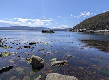 australia/tasman-peninsula/attraction/surveyors-cove