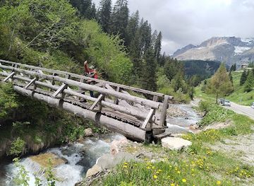 austria/gailtal/attraction/vanni-s-vogelwelt