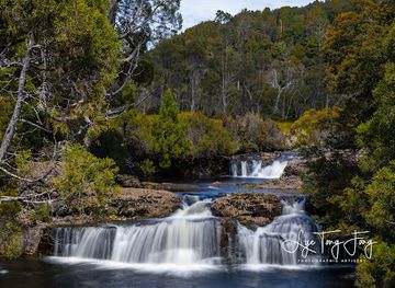australia/cradle-mountain-lake-st-clair-national-park/attraction/pencil-pine-falls