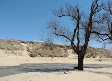 indiana/the-dunes/attraction/jean-klock-park