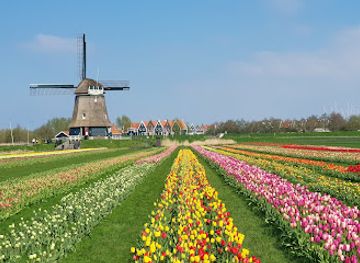 netherlands/keukenhof-gardens/attraction/tulip-fields