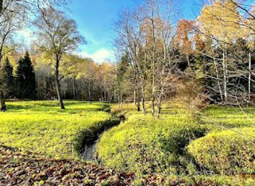 latvia/teici-nature-reserve/attraction/small-cave