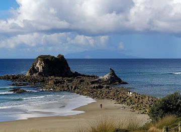 new-zealand/northland/attraction/mangawhai-heads-beach