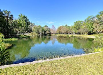 florida/homosassa-springs-wildlife-state-park/attraction/bluebird-springs-park
