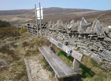 isle-of-man/glen-maye/attraction/mwt-earystane-nature-reserve