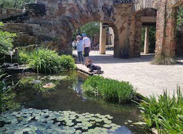 texas/austin/attraction/lady-bird-johnson-wildflower-center