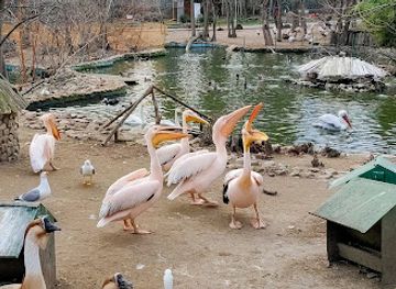 bulgaria/varna/attraction/varna-zoo