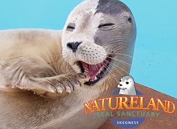 united-kingdom/lincolnshire/attraction/natureland-seal-sanctuary-skegness