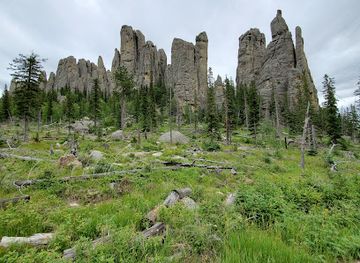 south-dakota/black-hills-national-forest/attraction/cathedral-spires-viewing-spot