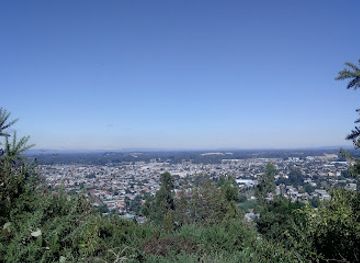 chile/temuco/attraction/mirador-isla-cautin