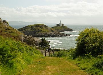 united-kingdom/west-glamorgan/attraction/mumbles-hill-local-nature-reserve