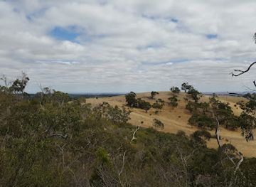 australia/barossa-valley/attraction/hale-conservation-park
