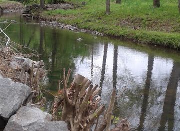 arkansas/pinnacle-mountain-state-park/attraction/butler-park