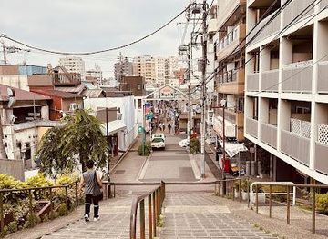 japan/tokyo/attraction/yanaka-ginza