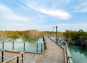united-arab-emirates/abu-dhabi/attraction/jubail-mangrove-park
