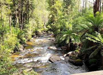 australia/yarra-valley/attraction/phantom-falls