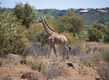 south-africa/bloemfontein/attraction/naval-hill-nature-reserve