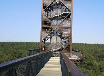lithuania/anyksciai-treetop-walking-path/attraction/cosmos-milky-way