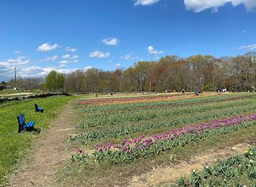 rhode-island/yawgoo-valley-ski-area-water-park/attraction/snake-den-state-park