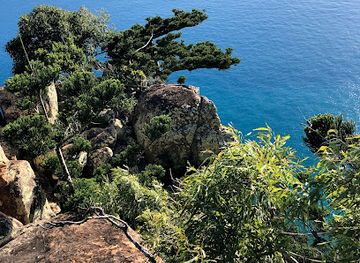 australia/the-whitsundays/attraction/dolphin-point-lookout