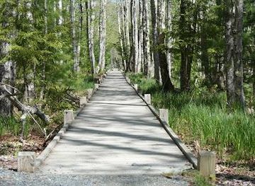 maine/bar-harbor/attraction/sieur-de-monts-nature-center