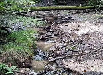 Źródło Potoku Karlikowskiego