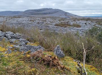 ireland/the-burren/attraction/depart-des-randonnees-dans-le-burren