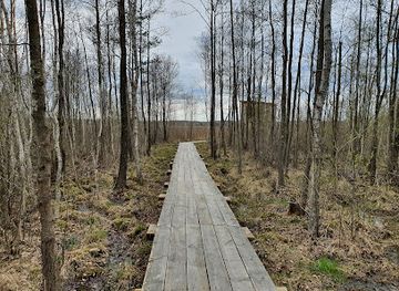 poland/podlachia/attraction/kladka-turystyczna-szuszalewo-jalowo-nowy-lipsk