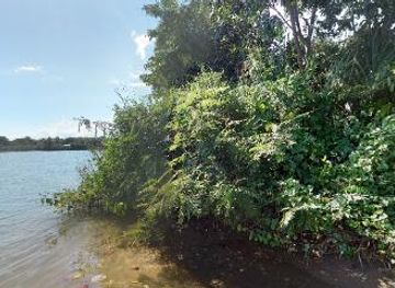 belize/placencia/attraction/monkey-river-town