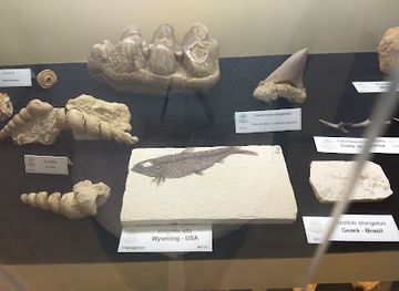 portugal/vila-real/attraction/museu-de-geologia-da-utad