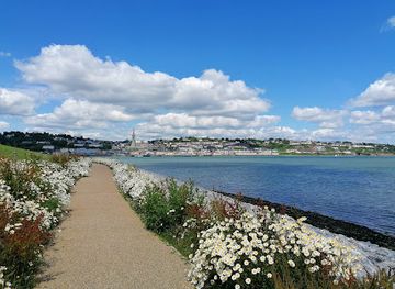 ireland/county-cork/attraction/five-foot-way-bealach-na-gcuig-cruibe