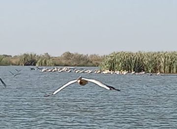 senegal/lompoul-desert/attraction/reserve-de-gueumbeung-guembeul-natural-reserve