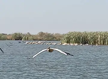 Réserve de Gueumbeung - Guembeul Natural Reserve