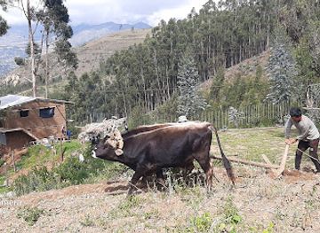 peru/huascaran-national-park/attraction/parque-dr-aventura-extremo-huaraz