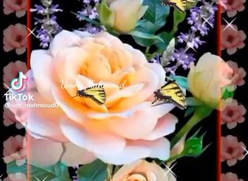 chad/lake-chad/attraction/doro-market