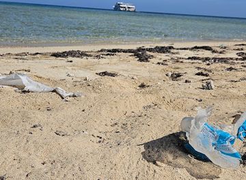 egypt/marsa-alam/attraction/marsa-shouna