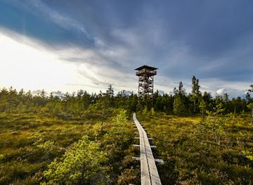 estonia/viljandimaa/attraction/mukri-raba-vaatetorn