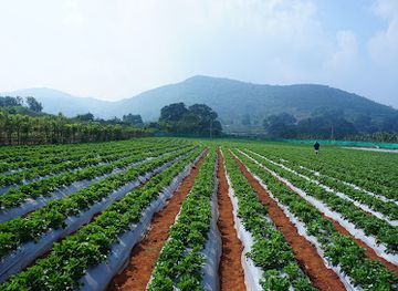 india/eastern-india/attraction/lambasingi-tourist-place