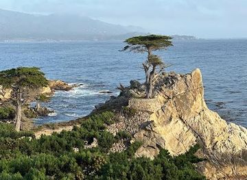 california/carmel-by-the-sea/attraction/lone-cypress