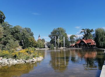 poland/opole/attraction/multimedialna-fontanna-na-stawie-zamkowym